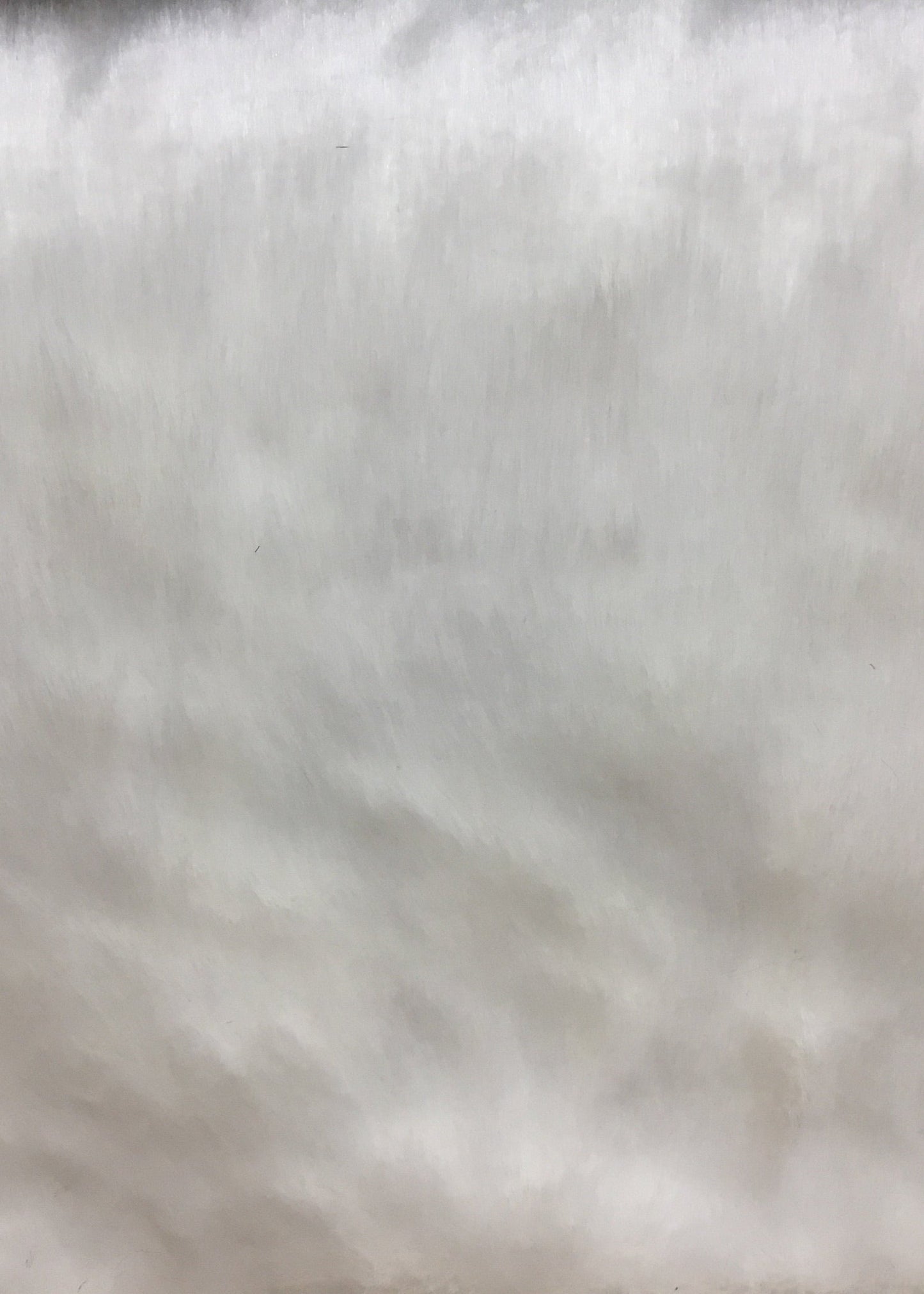 15665 White Faux Fur DISCO