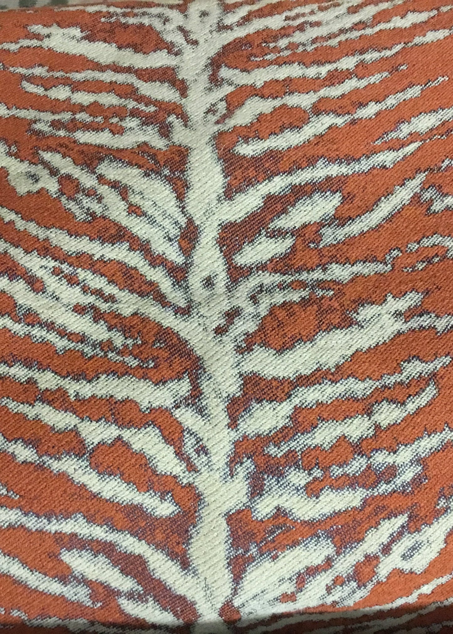 14387 Zebra Tangerine