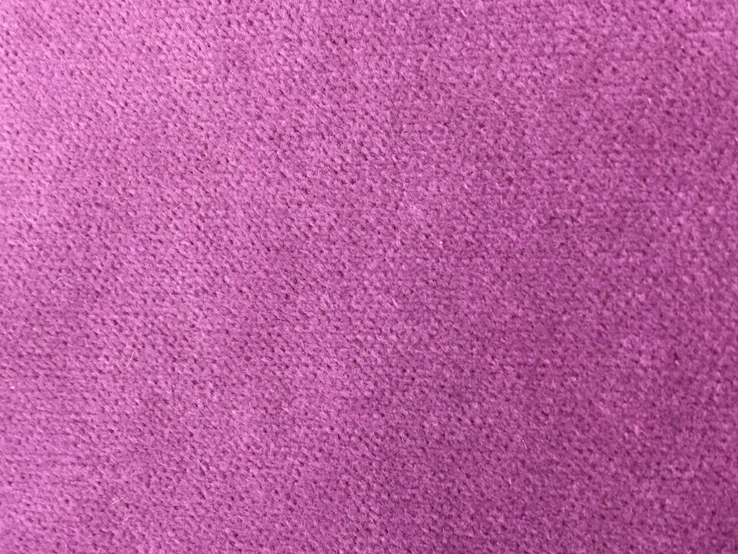 16157 Obession 704 Lilac